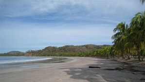 A beach with a sandy shore, palm trees, and a forested hill in the background.