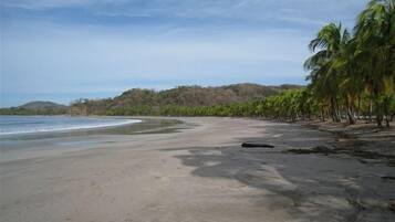 Chaises longues, serviettes de plage