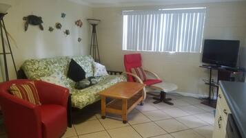 Smart TV, reproductor de DVD y libros