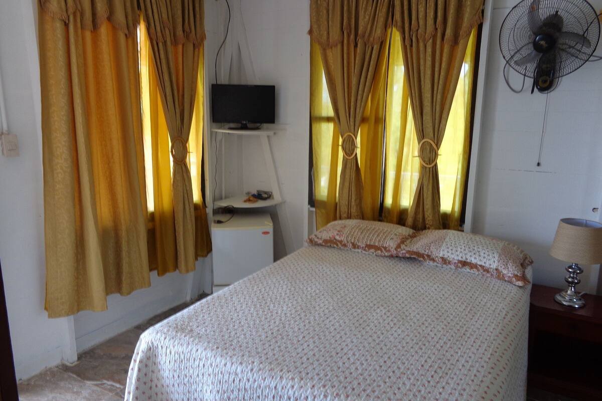 Une chambre à coucher avec un lit, des rideaux, un téléviseur posé sur un meuble, un ventilateur et une lampe.