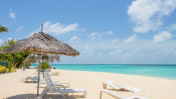 Une plage avec des chaises longues blanches et un parasol en chaume.