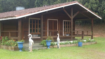 Pemandangan dari properti