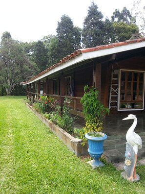 الإطلالة من المنشأة