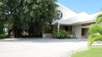 A modern building with a large tree in front, a covered entrance, and a clear sky.