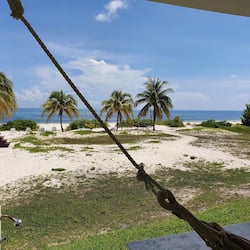 Ngoại thất