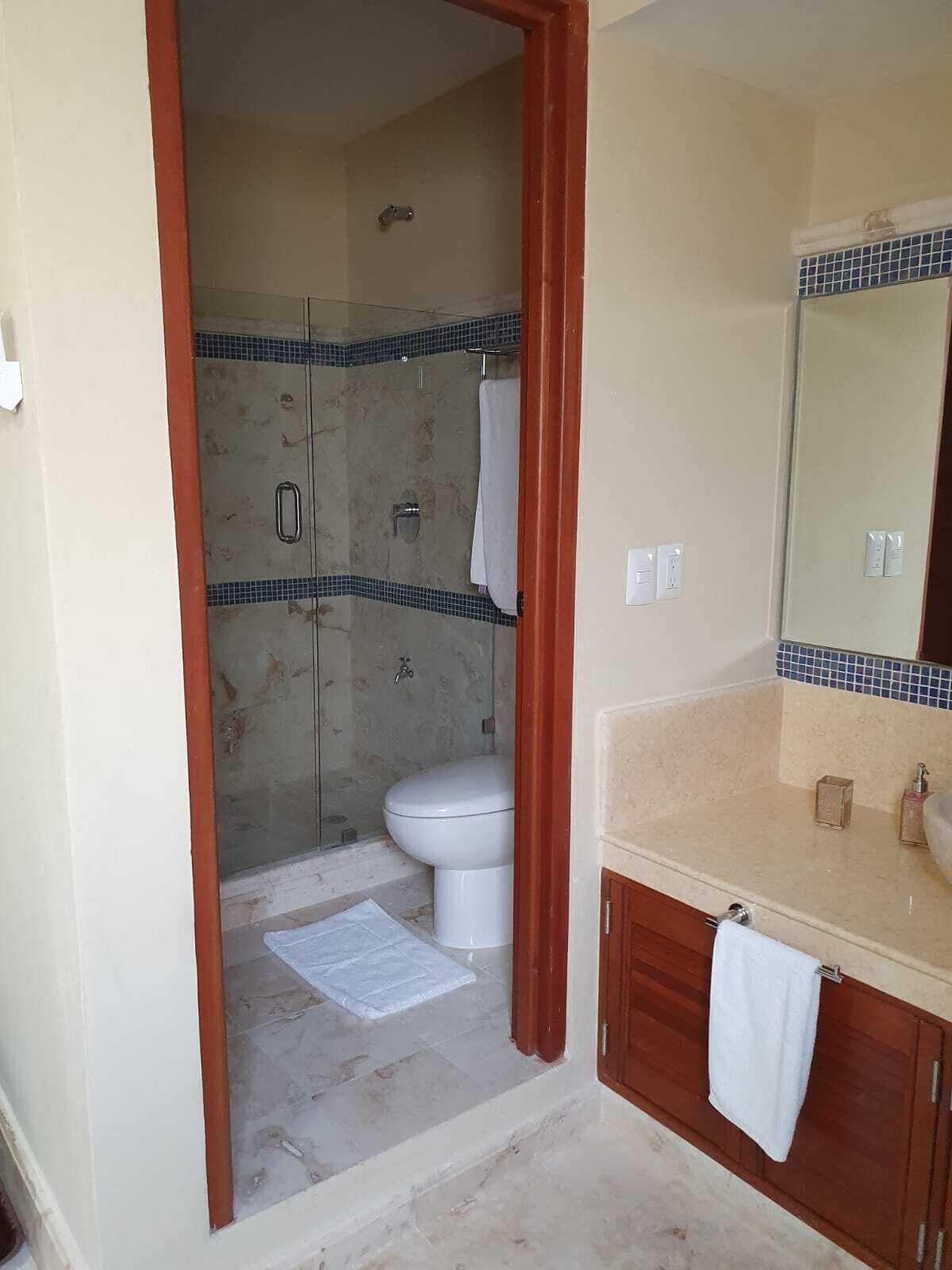 Un baño con ducha, inodoro y tocador.