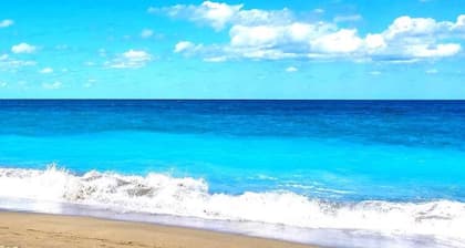 Ocean Village Beachfront Resort: pasos de la playa, muchas comodidades
