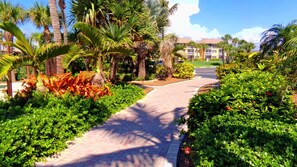 Property grounds - Ocean Village Private Beach Front Resort- Steps to the beach,  many  amenities.  (Golf Vilas)