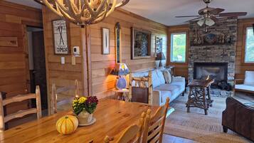 Smart TV, fireplace, books