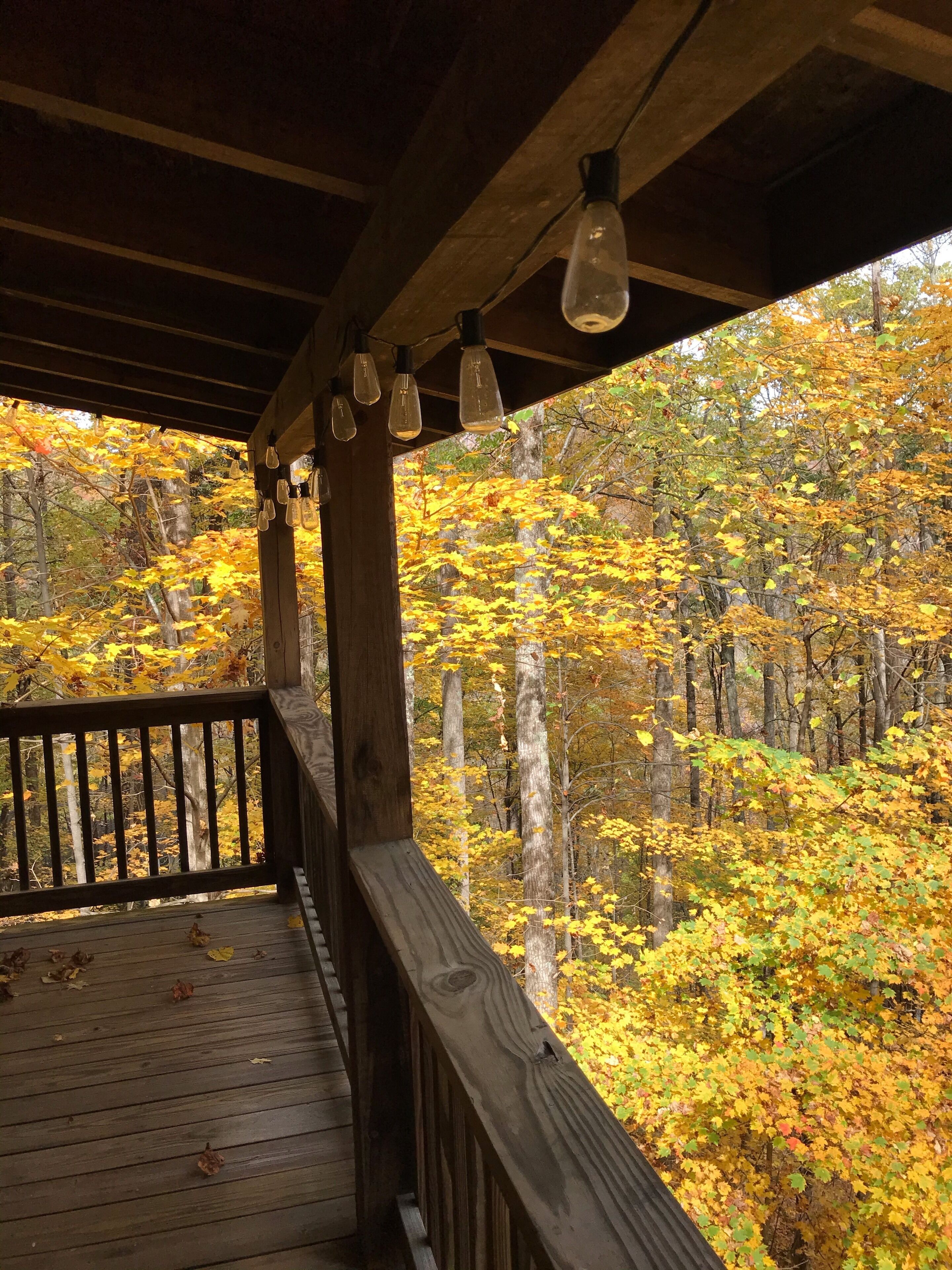 Eine Holzterrasse mit Geländer, die auf einen Aulmwald mit herbstlichen Farben blickt.