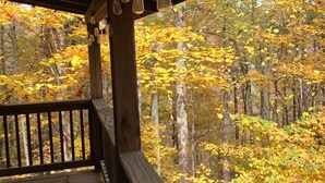 A wooden deck with a railing overlooking a forest of autumn-colored trees. - ♥♥ Log cabin tree top setting with fire pit!  Sleeping porch. Easy Access (Maggie Valley)