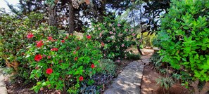 Property grounds - Well maintained charming villa**** near the sea Lots of privacy, separate studio (Calp)