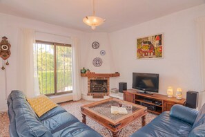 Een smart-tv, een open haard, boeken en streamingdiensten