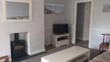 Smart TV, fireplace, DVD player, books