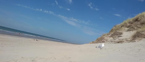 Ligstoelen aan het strand