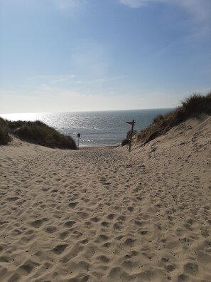 Sun-loungers