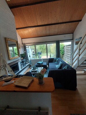 Televisio, takka, pöytätennispöytä, kirjoja