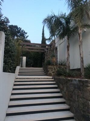 Property grounds - Superb Californian villa (Grimaud)