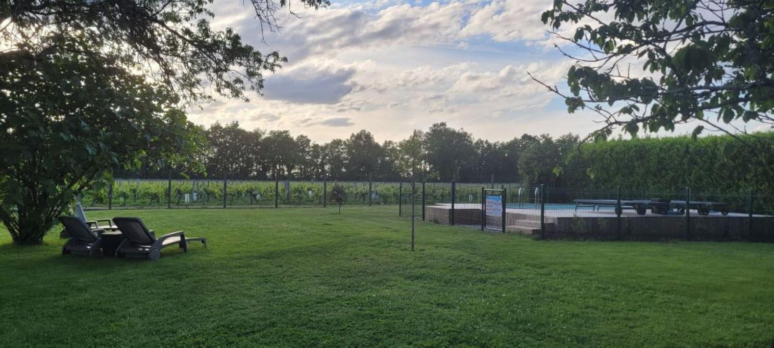 A grassy outdoor area with a fenced tennis court, a picnic table, and a signboard.