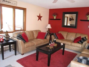 Smart TV, fireplace, DVD player, books
