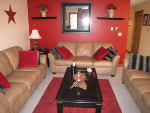 Smart TV, fireplace, DVD player, books