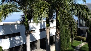 Een aangelegde omgeving met palmbomen en een pad naar een gebouw.