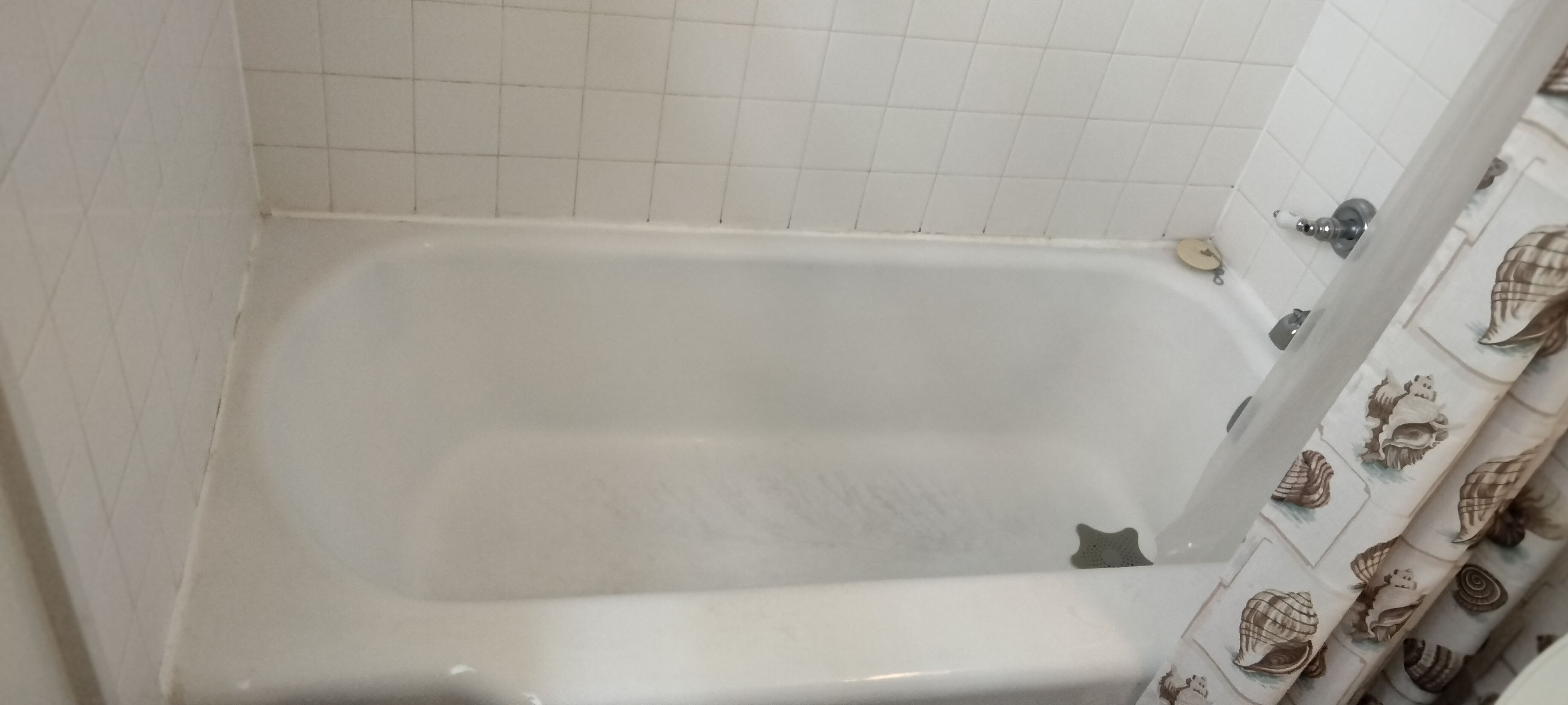 Una bañera con pared de azulejos blancos y cortina de ducha con estampado de conchas.