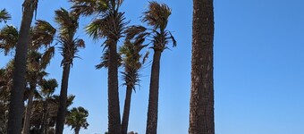 Beach-Chic Apt. for Two - SLEEP NUMBER BED - Porch Rockers - Short Walk to Beach