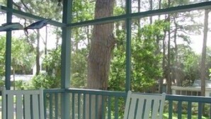 Een overdekt terras met witte stoelen en een uitzicht op bomen en een huis op de achtergrond.