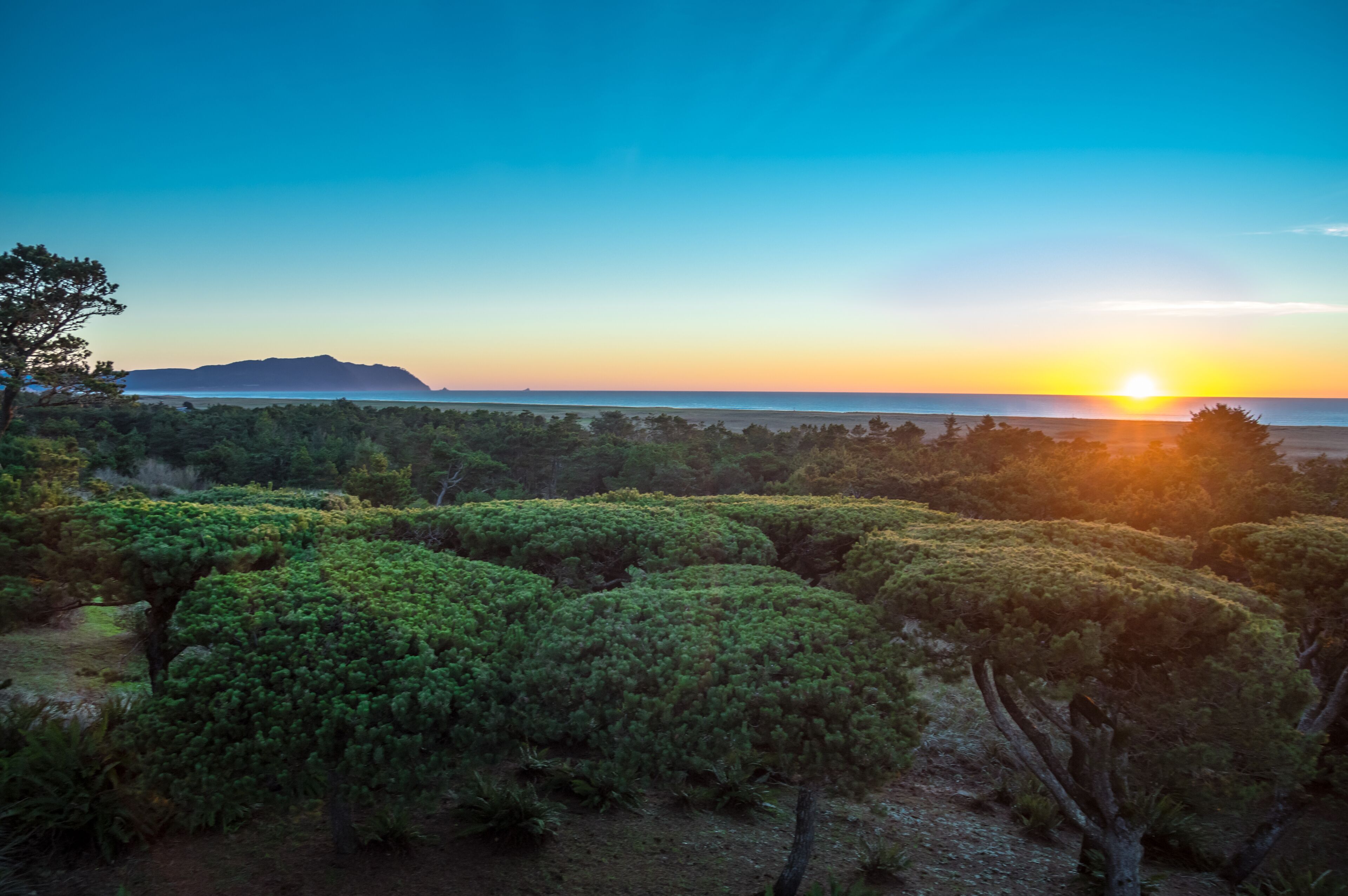Un paysage côtier caractérisé par une végétation luxuriante et un coucher de soleil à l’horizon.