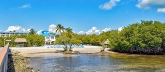 Fish, Dive, Snorkel & Unwind-Coral Reefs, Pool, Pickleball & Onsite Bar