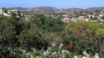 House, 3 Bedrooms | View from room