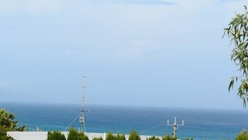 A coastal view with a clear sky, a large antenna structure, and the ocean in the background.