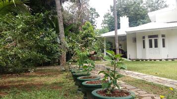 Un jardín con plantas en macetas, un sendero y un edificio blanco con ventanas y una puerta.