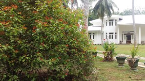 Garden - White House (Ragama)