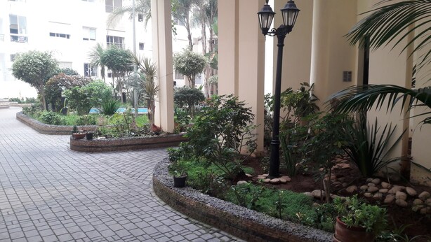 Un vialetto lastricato con un'area giardino curata, con diverse piante e un lampione.