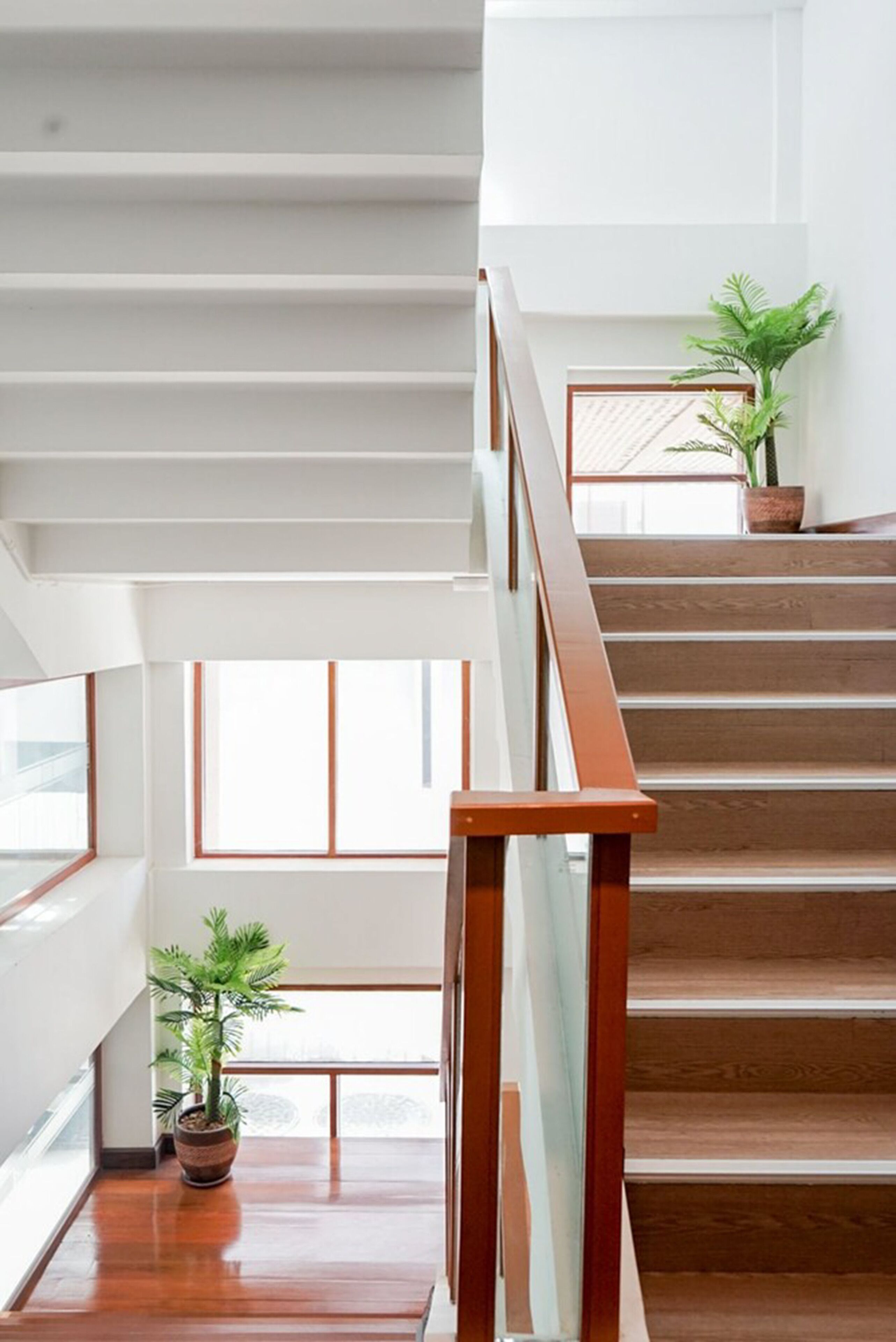 Foto - Darley Hotel Chiangmai