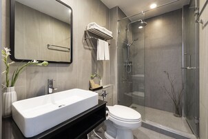 A modern bathroom with a large white sink, a toilet, a glass-enclosed shower, and a mirror above the sink.