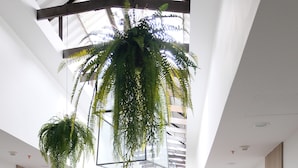 Un couloir d’hôtel moderne avec un escalier central, des rampes en bois et des plantes vertes suspendues.