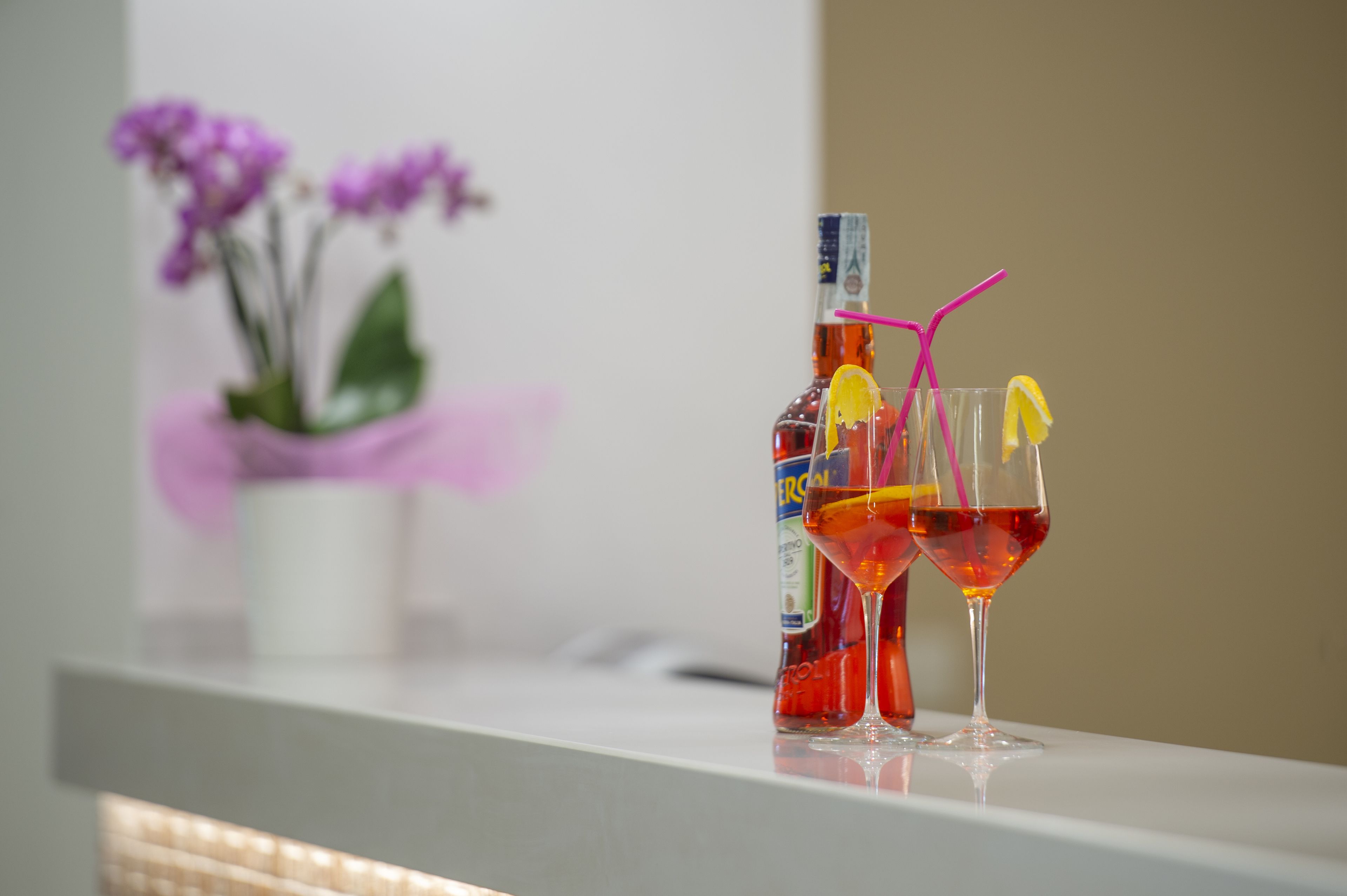 A bottle of red wine and two glasses on a white surface with a potted plant in the background.