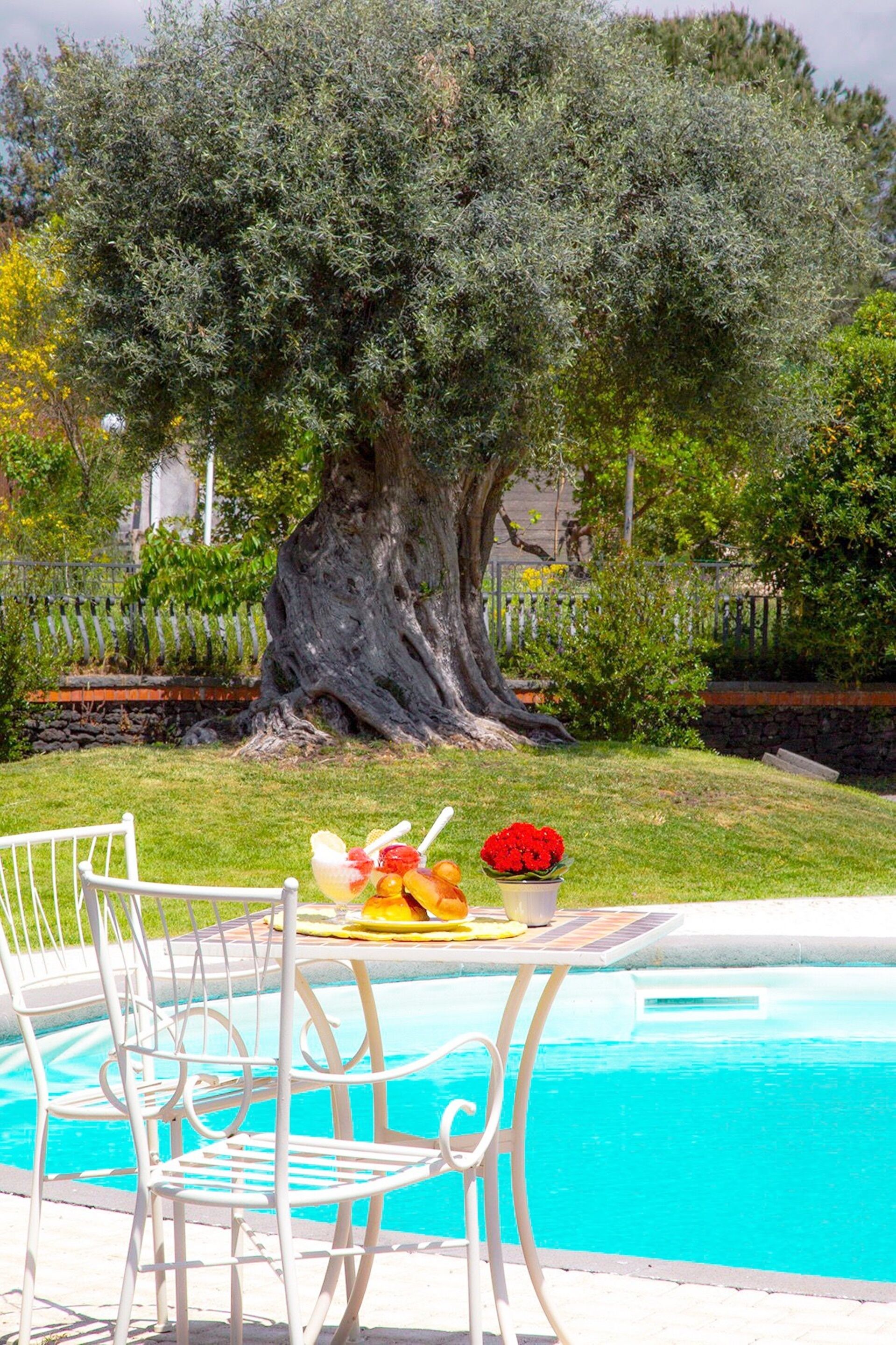 Una zona junto a la piscina con una mesa preparada para dos personas, una silla de metal blanco y una maceta con flores rojas.