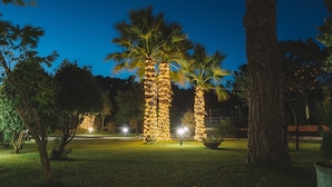 Un espace extérieur aménagé pour la nuit, avec des palmiers et des guirlandes lumineuses.
