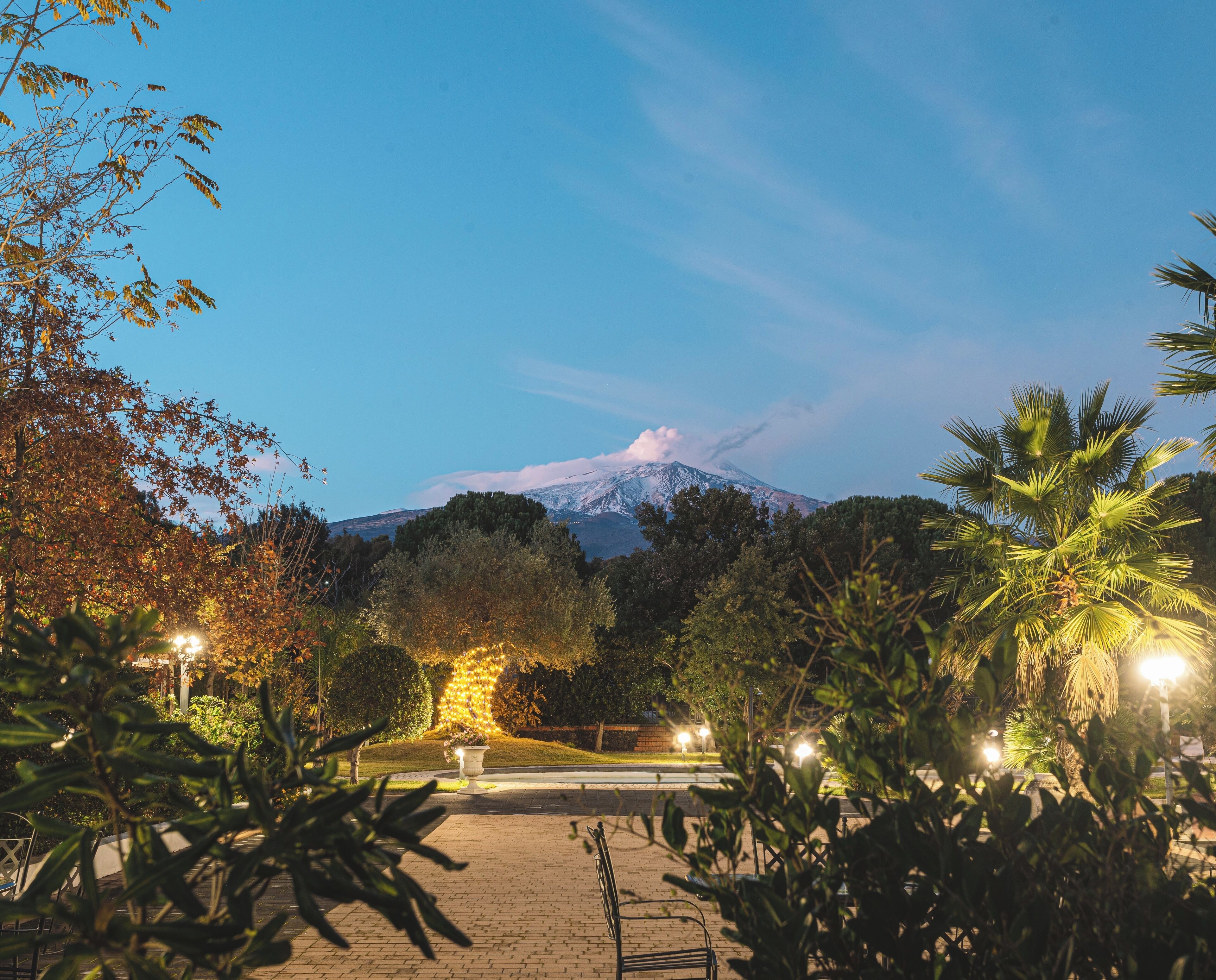 A nighttime view of a park with a mountain in the background, pathways, and illuminated trees.