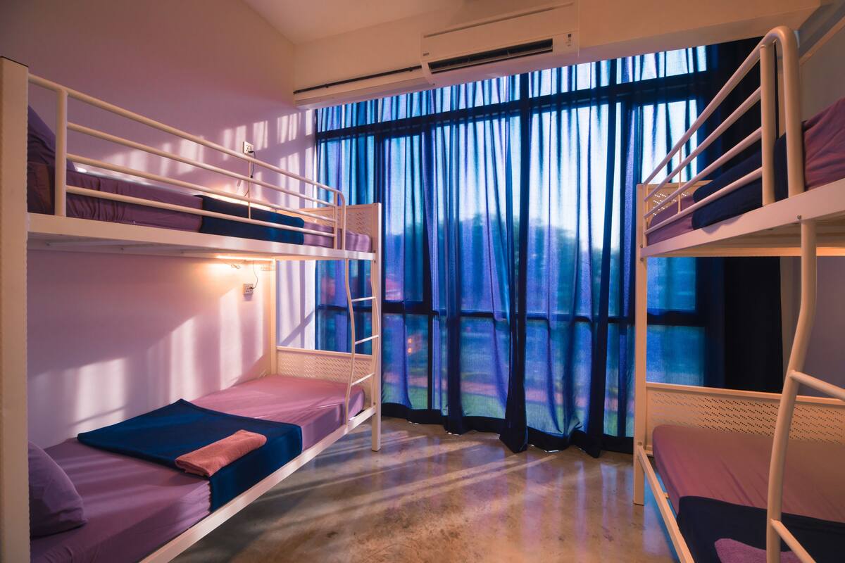 Premium Shared Dormitory, Mixed Dorm, City View
