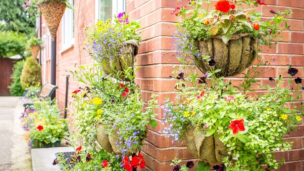 A brick building with hanging flower baskets filled with a variety of flowers. - Stratford Studios (Stratford-upon-Avon)