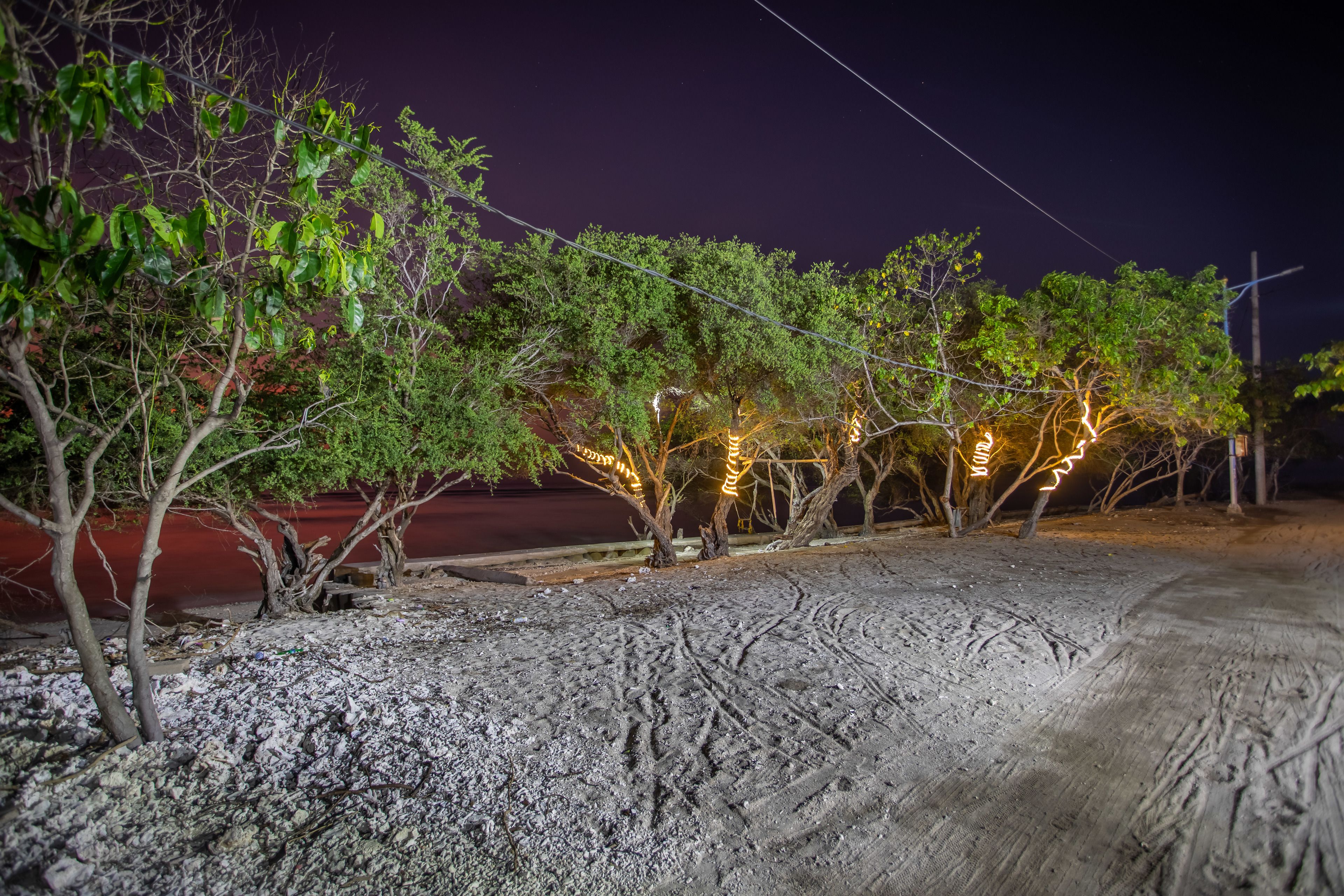 A nighttime outdoor area with trees and a dirt path.