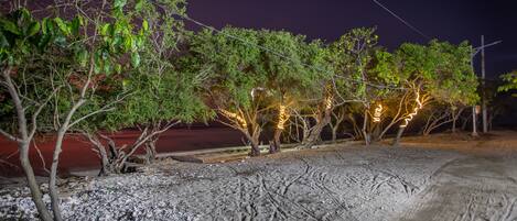 A nighttime outdoor area with trees and a dirt path.