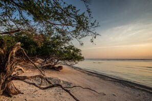Perto da praia, areia branca 