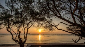 Escena de playa con un atardecer, árboles y un mar tranquilo.