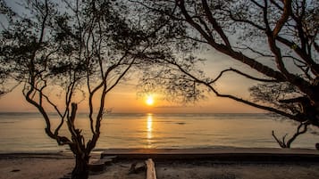 靠近海滩、白沙